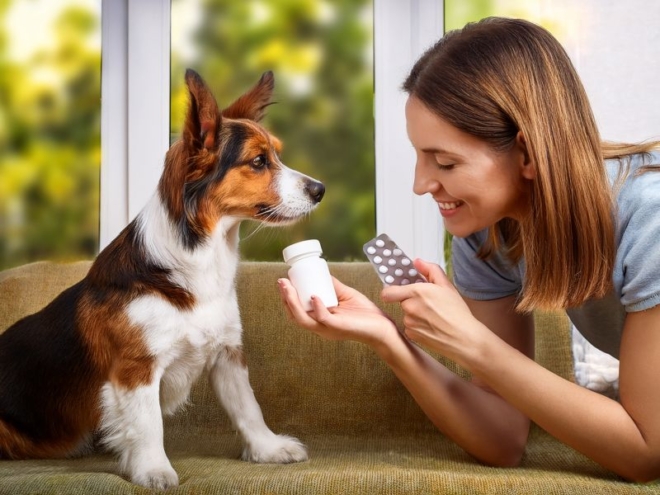 Interní auditor pro veterinární prostředky