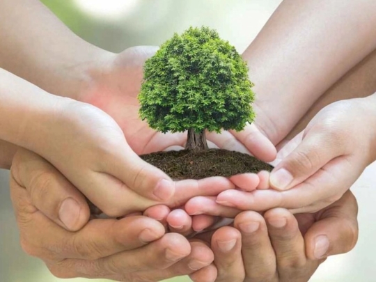 Systém environmentálního managementu dle ISO 14001