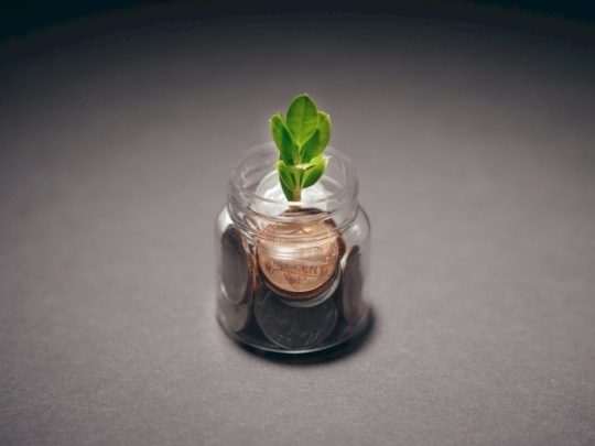 Environmentální legislativa