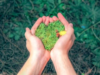 Obrázek kurzu: Interní auditor EMS dle ISO 14001 včetně legislativy a praxe – pro pokročilé