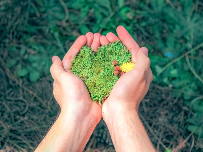 Interní auditor EMS II