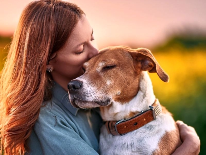 Systém kvality pro distribuci veterinárních léčiv